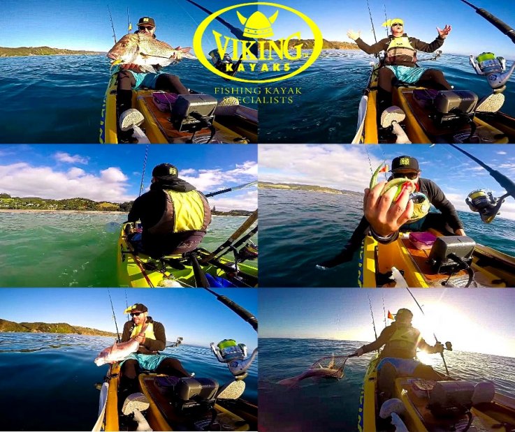 Viking Kayaks Australia - Saltwater Assassin Northland Snapper Kayak Fishing
